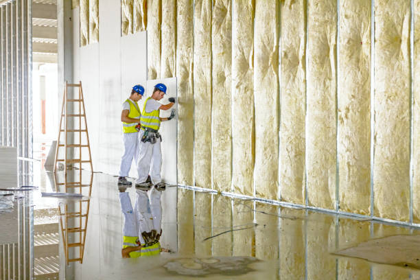 Types of Insulation We Offer in Redland, MD